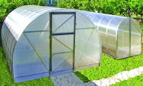Чем отличается парник от теплицы