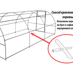 Сбор теплицы из поликарбоната своими руками