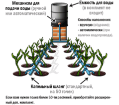Полив для теплиц