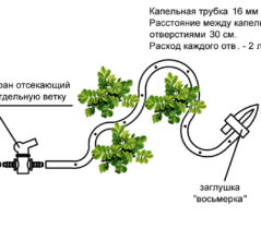 Как сделать систему полива своими руками
