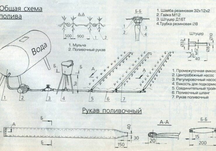 Как установить капельный полив в теплице