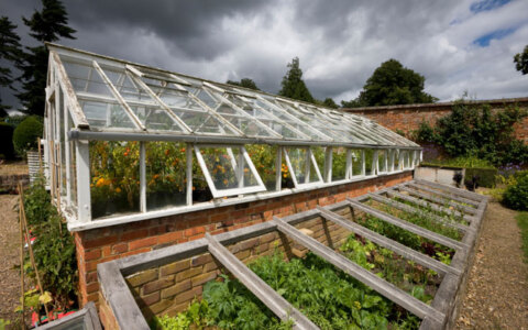 Как получить богатый урожай в теплицах?