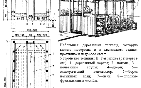 Строительство промышленных теплиц
