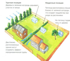 Основные нюансы выбора теплицы из поликарбоната
