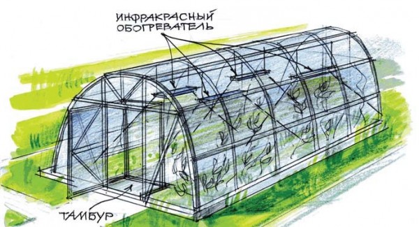 Схема расположения инфракрасных обогревателей для теплицы