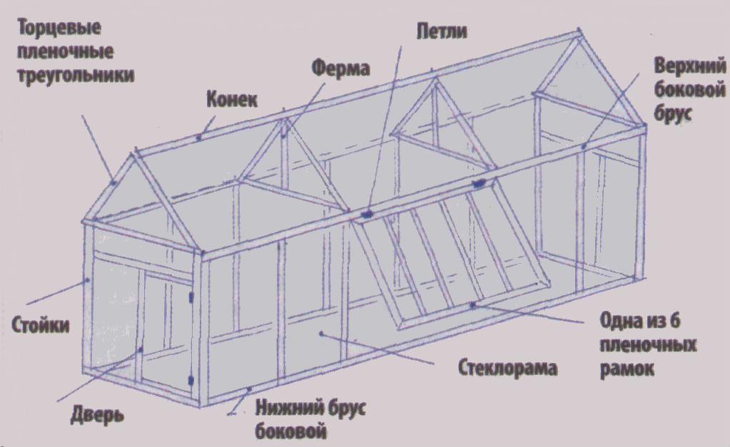 Схема устройства стеклянной теплицы
