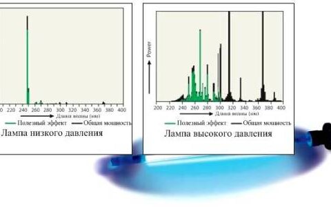 Какие светильники для теплиц наиболее эффективны