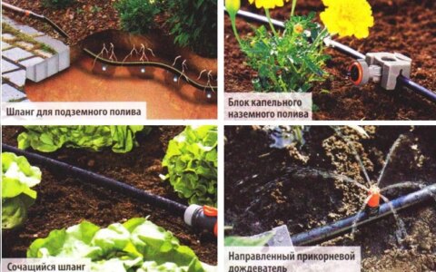 Система капельного полива своими руками