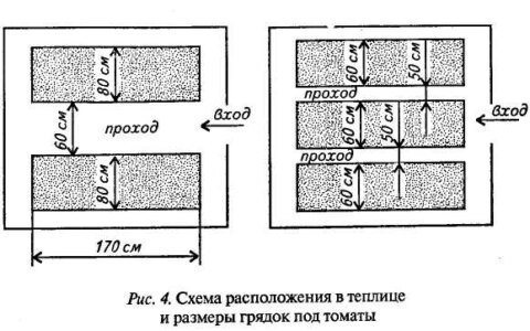 Маленькие тонкости получения качественного урожая томатов