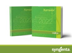 Профессиональные гербициды Syngenta для защиты свеклы от вредителей